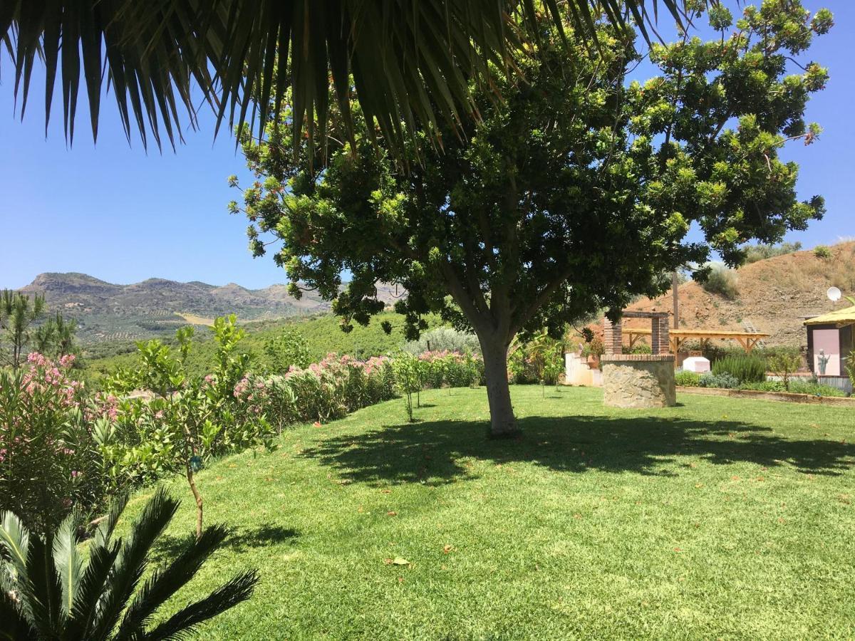 Finca Las Hierbas B&B Alora Esterno foto